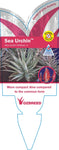 Aloe Sea Urchin TM ANDsea