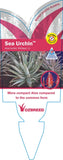 Aloe Sea Urchin TM ANDsea