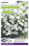 Arenaria montana Snow