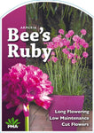 Armeria Bees Ruby