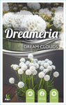 Armeria Dream Clouds