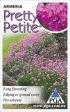 Armeria Pretty Petite