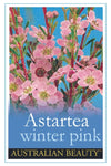 Astartea Winter Pink