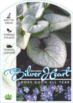 Brunnera Silver Heart