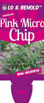 Buddleja Pink Micro Chip