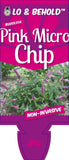 Buddleja Pink Micro Chip