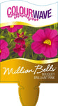 Calibrachoa Million Bells Bouquet Brilliant Pink-Colourwave