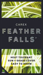 Carex Feather Falls