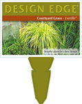 Carex oshimensis Everillo