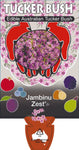 Chamelaucium Jambinu Zest (Tucker Bush Geraldton Wax)