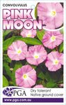 Convolvulus Pink Moon