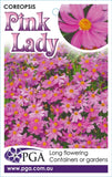 Coreopsis Pink Lady