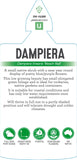 Dampiera linearis Beach Ball