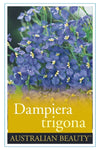 Dampiera trigona