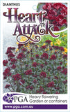 Dianthus Heart Attack