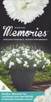 Dianthus Memories