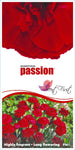 Dianthus Passion