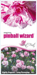 Dianthus Pinball Wizard