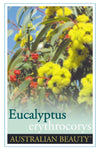 Eucalyptus erythrocorys