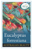 Eucalyptus forrestiana