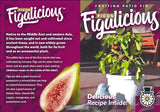 Ficus Figalicious