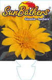 Gazania Sunhara