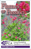 Geum Flames of Passion