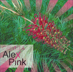 Grevillea Alex Pink