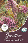 Grevillea Dorothy Gordon