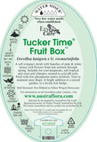 Grevillea Tucker Time Fruit Box