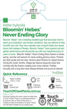 Hebe Never Ending Glory