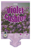 Hebe Violet Cushion