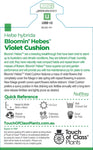 Hebe Violet Cushion