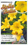 Hemerocallis Stella Bella