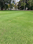 Village Green Kikuyu