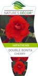 Impatiens Double Bonita Cherry