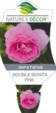 Impatiens Double Bonita Pink