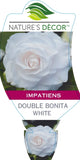 Impatiens Double Bonita White