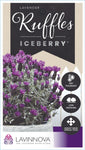 Lavandula Iceberry Ruffles