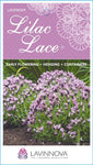 Lavandula Lilac Lace