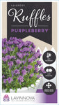 Lavandula Purpleberry Ruffles