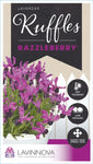 Lavandula Razzleberry Ruffles