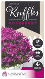 Lavandula Roseberry Ruffles