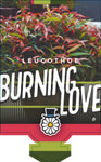 Leucothoe Burning Love