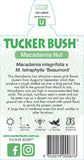 Macadamia Beaumont (Tucker Bush Macadamia)