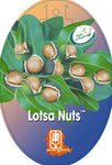 Macadamia Lotsa Nuts