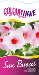 Mandevilla Sun Parasol Classic Cream Pink-Colourwave