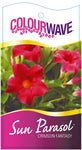 Mandevilla Sun Parasol Classic Crimson Fantasy-Colourwave