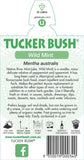 Mentha australis (Tucker Bush River Mint)