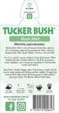 Mentha satureioides (Tucker Bush Bush Mint)